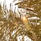 4ft. Pre-Lit Champagne Tinsel Artificial Christmas Tree, Clear Lights